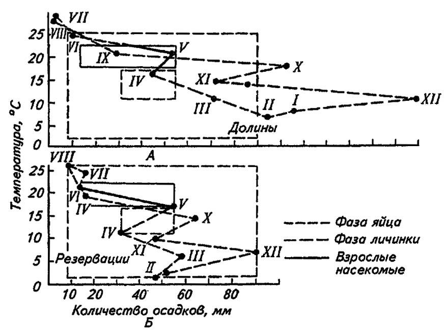 Рисунок 181. Биоклимограмма Б. П. Уварова для мароккской саранчи в Малой Азии (по Бей-Биенко, 1966)