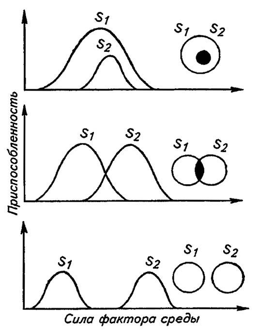 Рисунок 186. Примеры возможных взаимодействий экологических ниш двух (S1 и S2) видов (по Пиаике, 1981)