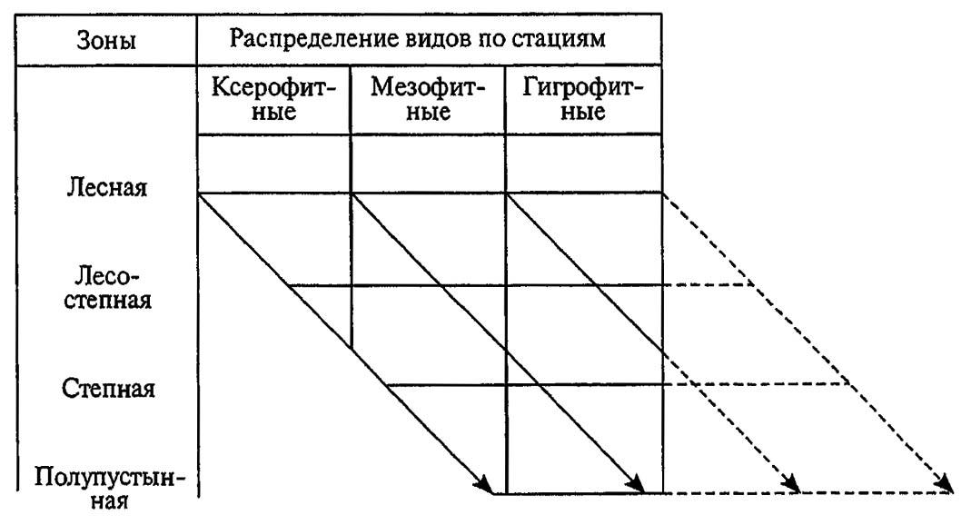 Рисунок 189. Диаграмма зональной смены стаций (по Бей-Биенко, 1966)