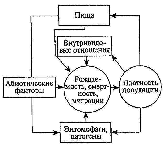 Рисунок 194. Факторы динамики численности популяции с позиций концепции автоматического регулирования (по Викторову, 1976)