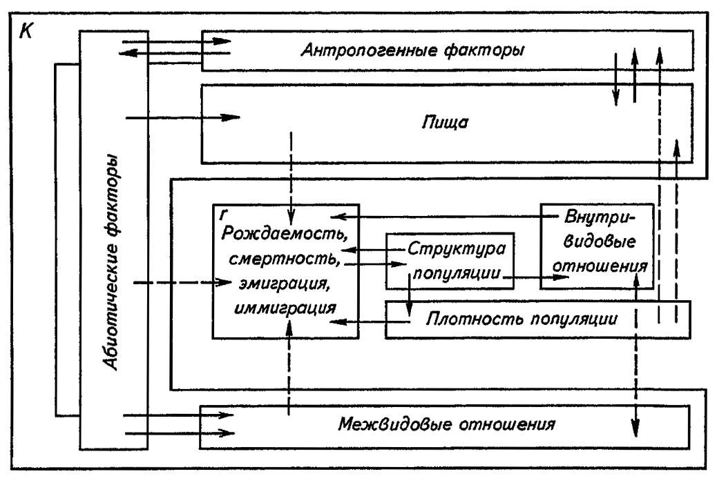 Рисунок 196. Факторы динамики численности популяций насекомых