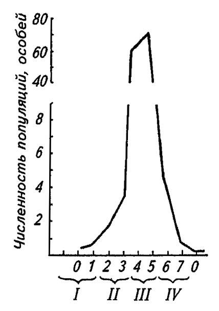Рисунок 197. Последовательность фаз развития вспышки массового размножения насекомых (по Воронцову, 1975)