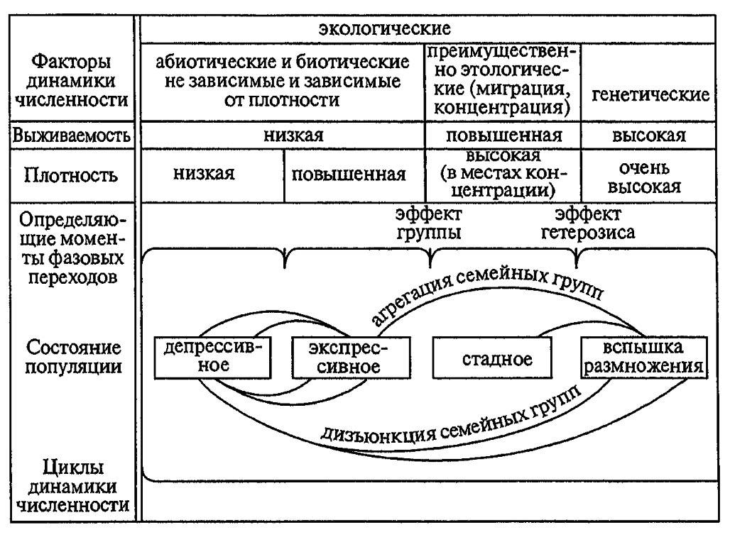 Рисунок 198. Схема взаимодействия факторов динамики численности популяций при вспышке массового размножения насекомых (по Рожкову, 1981)