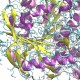 Acetylcholine Esterase