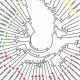 Adipokinetic and Hypertrehalosemic Neurohormones