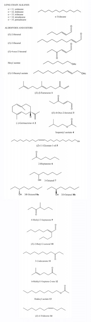 Figure 30 Defense secretion of Cosmopepla bimaculata showing a typical range of compounds produced by stinkbugs