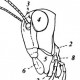 Типичная голова насекомого
 	