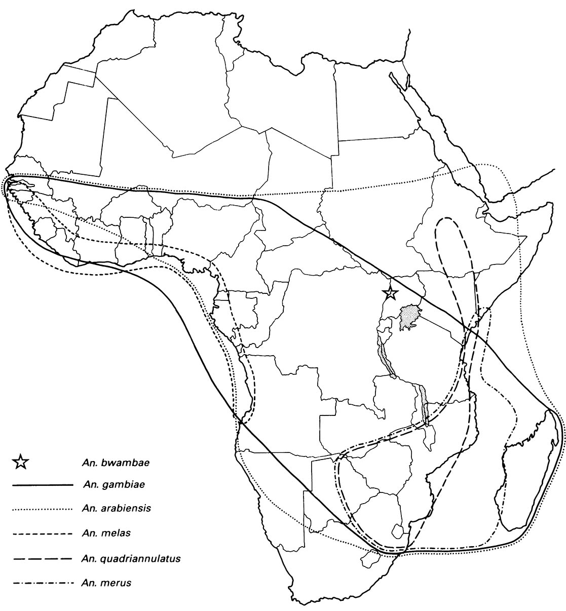 Anopheles gambiae complex