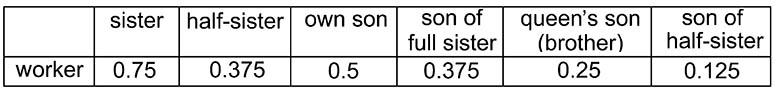 Relatedness of a given worker to other possible occupants of a hive.