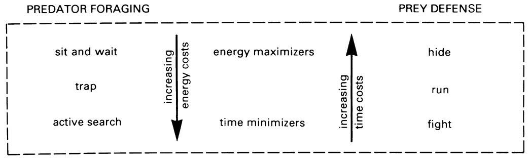 The basic spectrum of predator foraging and prey defense strategies, varying according to costs and benefits in both time and energy.