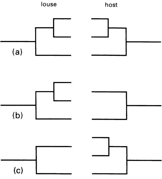 Comparisons of louse and host phylogenetic trees: