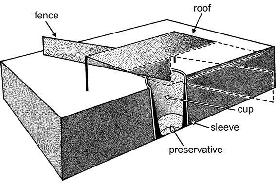 A diagrammatic pitfall trap cut away to show the inground cup filled with preserving fluid.