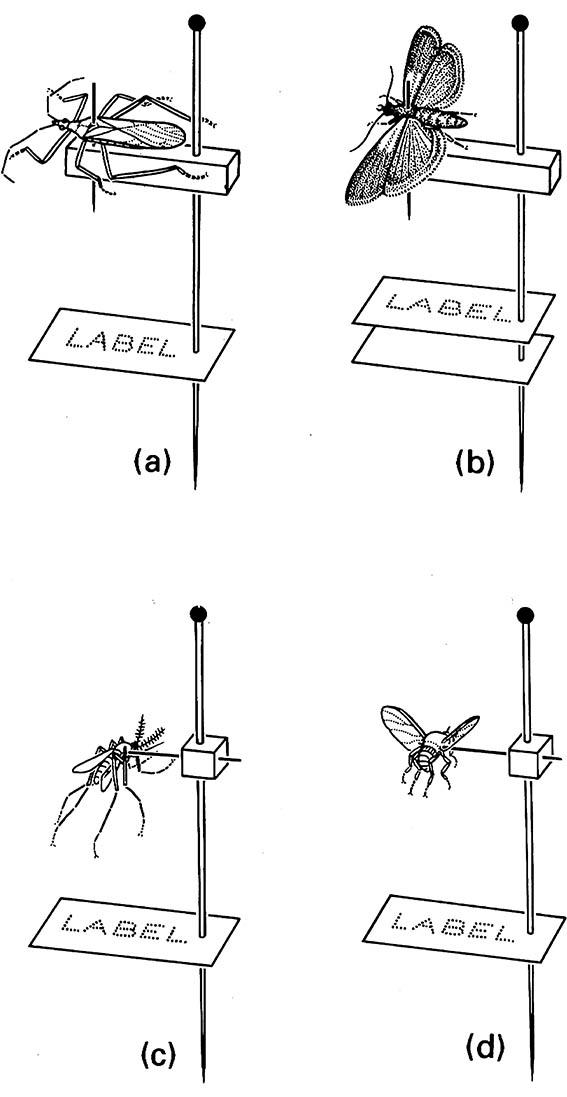 Micropinning with stage and cube mounts: