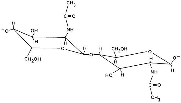 Structure of part of a chitin chain, showing two linked units of N-acetyl-D-glucosamine.