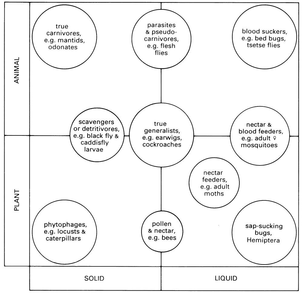 The four major categories of insect feeding specialization.