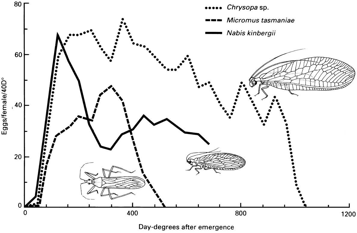 Age-specific oviposition rates of three predators of cotton pests, Chrysopa sp. (Neuroptera: Chrysopidae), Micromus tasmaniae (Neuroptera: Hemerobiidae), and Nabis kinbergii (Hemiptera: Nabidae), based on physiological time above respective development thresholds of 10.5°C, —2.9°C, and 11.3°C.