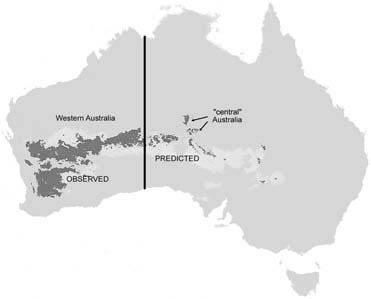 Modeled distribution for Austrochlus species (Diptera: Chironomidae) based on presence data.