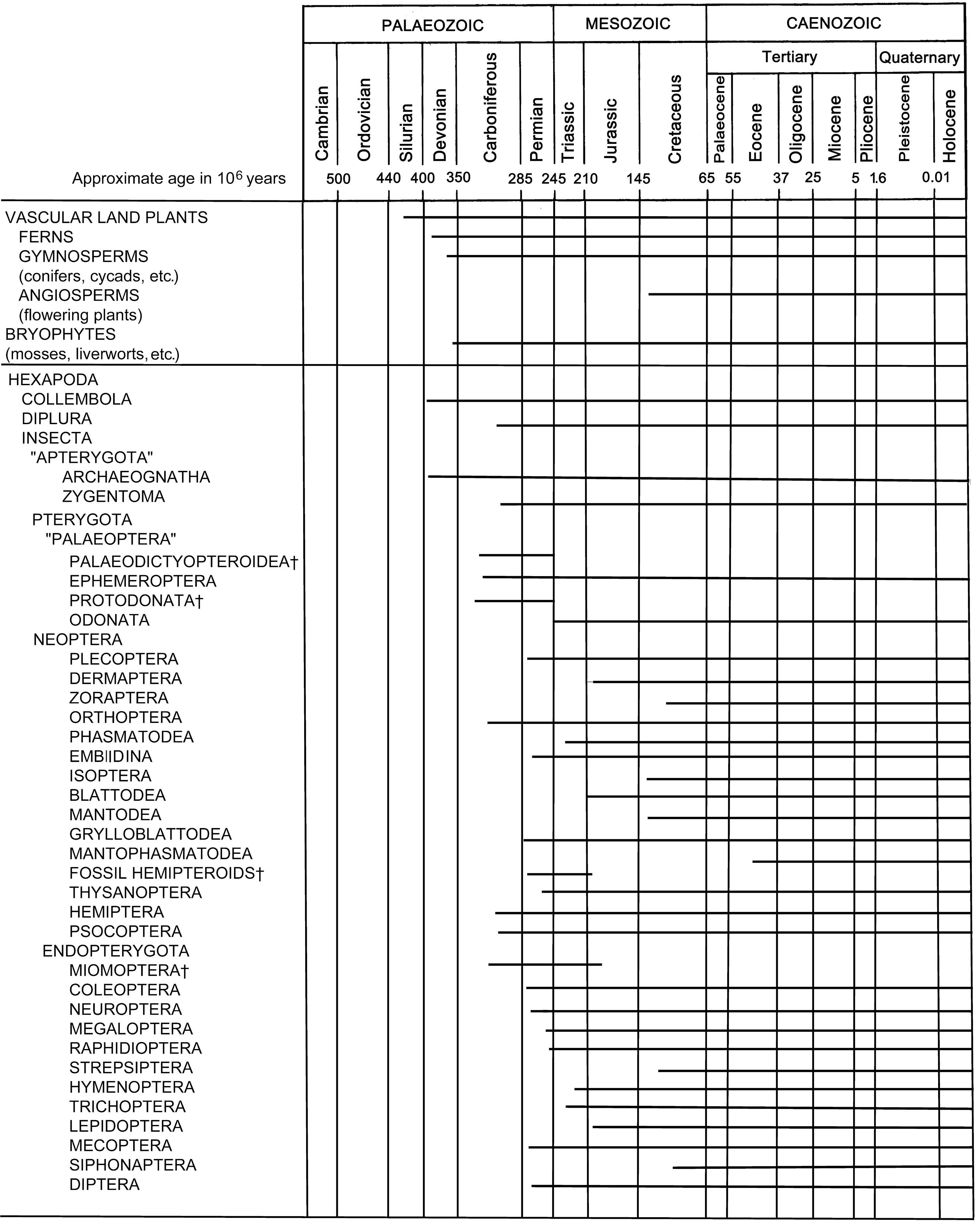 The geological history of insects in relation to plant evolution.