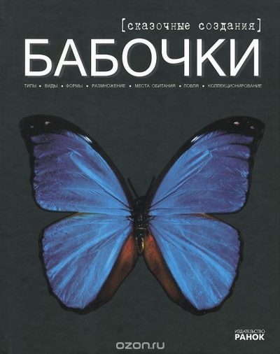 Бабочки — сказочные создания