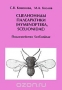 Сцелиониды Палеарктики (Hymenoptera, Scelionidae). Подсемейство Scelioninae