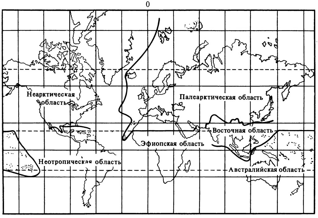 Фаунистические царства, или зоогеографические области Земли